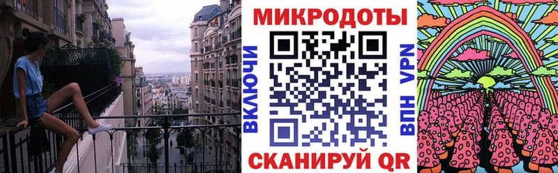 где можно купить   Дудинка  Псилоцибиновые грибы Psilocybe 